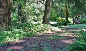 9965 BEACH Dr, Birkenfeld, OR 97016