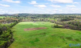 435 Sneadview Rd, Altoona, AL 35952