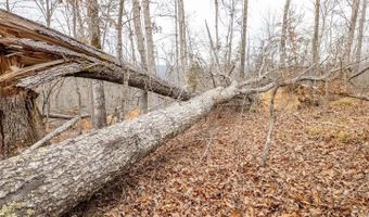 County Road 19-A, Alton, MO 65606