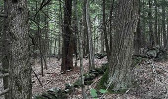 877 N Barnstead Rd, Barnstead, NH 03225