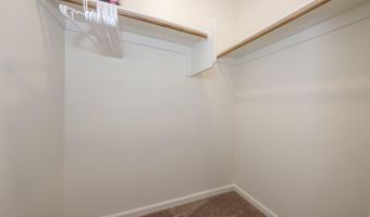 937 W Calle Tronco Seco, Sahuarita, AZ 85629