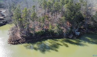 Lot 91 Sipsey Overlook, Double Springs, AL 35553