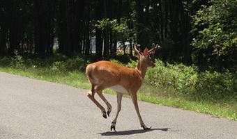 R27HF Oak Glade Road, Albrightsville, PA 18210