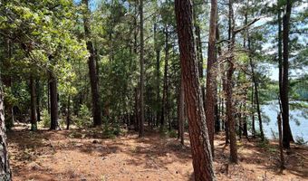 8 SC-215 S, Blair, SC 29015