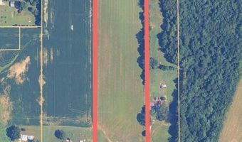 2624 Hwy 370, Baldwyn, MS 38824