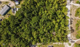 Tbd NW 16TH AVENUE, Bell, FL 32619