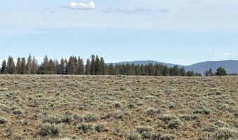 Oregon Pines Road TL 2000, Beatty, OR 97621