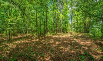 1 Mcalhany Rd, Branchville, SC 29432