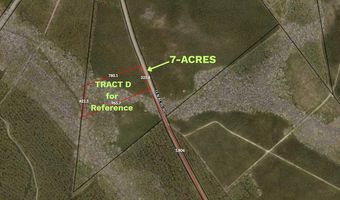 Tract D Ten Acre Rd, Andrews, SC 29510