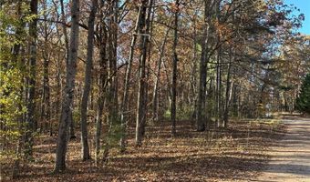 33 Eagle Rdg, Ball Ground, GA 30107