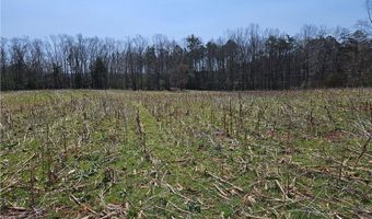 00 Willas Gap Rd 43, Ararat, VA 24053