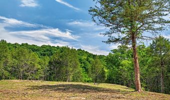 2926 Bryant Ridge Rd, Baxter, TN 38544