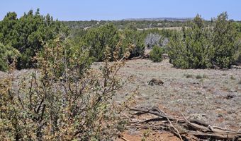 ACR N8388 and N8385, Concho, AZ 85924