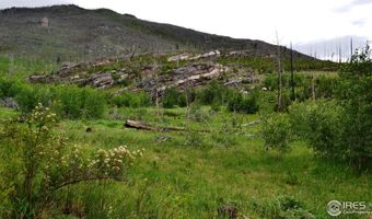 1256 Basking Dog Rd, Bellvue, CO 80512