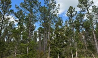 04 Seneca St Ext, Calhoun Falls, SC 29628