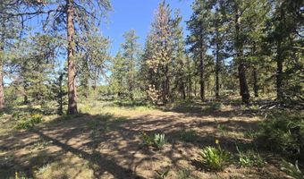 Meadow Lark Drive Lot 12, Bonanza, OR 97623