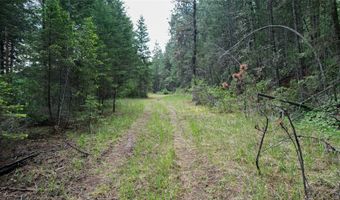 Nhn US Hwy 93, Big Arm, MT 59910