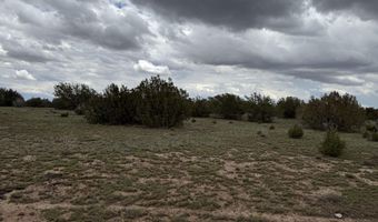 214 CR 8051, Concho, AZ 85924