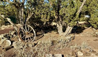 37 Co Rd N8174 10.1 Acres, Concho, AZ 85924