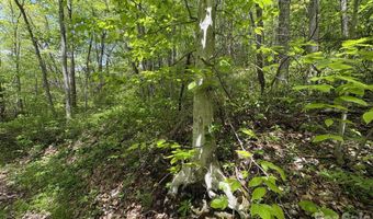999999 Harwood Rd 2, Barnardsville, NC 28709
