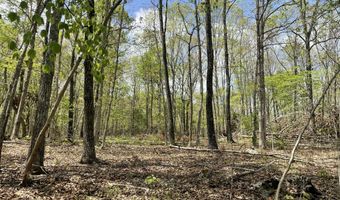 State Hwy N Tract G, Ava, MO 65608