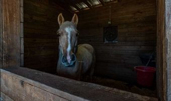 161 Archer Grove Rd, Athens, GA 30607