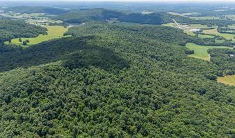 0 McKinley Guffey, Albany, KY 42602