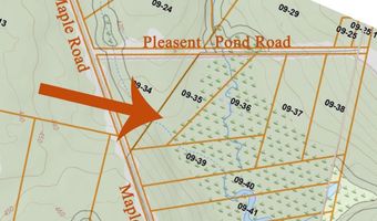 Pleasent Pond Road lot 6, Atkinson, ME 04426