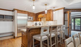 415 E Dean St Unit 11 Week 5, Aspen, CO 81611