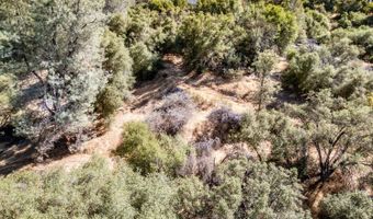 41902 Woodward Way, Ahwahnee, CA 93601