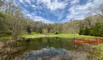 10515 Paw Paw Springs Rd, Arrington, TN 37014