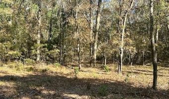 1058 78th Ave, Bell, FL 32619