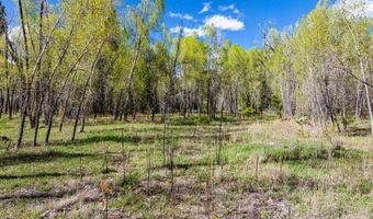 65 Pinestone Dr, Bayfield, CO 81122