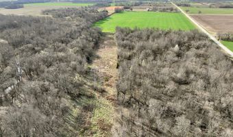 0002 CR-290, Asbury, MO 64832