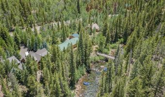 11109 County Road 742, Almont, CO 81210