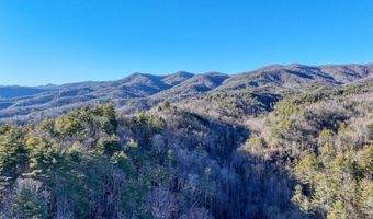 6 83ac Webb Creek Rd, Andrews, NC 28901