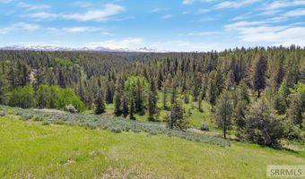 1530 Potpourri Dr, Ashton, ID 83420