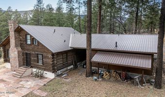 28 COUNTY RD. N2175 HULSEY LAKE RD., Alpine, AZ 85920