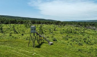 001 N 4220 Rd, Antlers, OK 74536