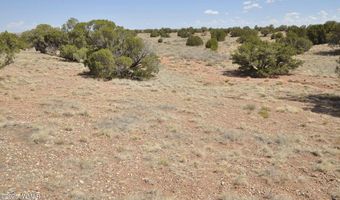 138 Jeff Lake Rd (CR N9230), Concho, AZ 85924