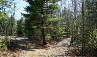 5840 Wildwood Rd, Alger, MI 48610