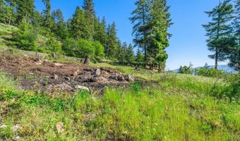 NNA Cape Horn Dr, Bayview, ID 83803