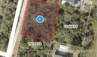 DEER CROSSING ROAD, Altoona, FL 32702