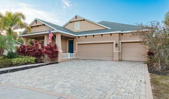 5116 COASTAL SCENE Dr, Apollo Beach, FL 33572