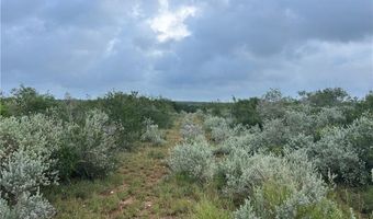 Tbd County Road 173, San Diego, TX 78332
