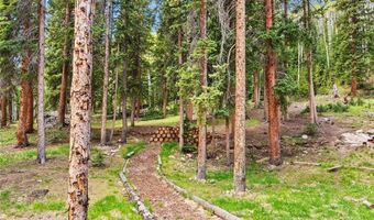 433 97 Cir, Blue River, CO 80424