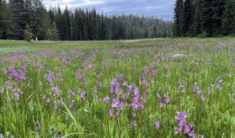9785 Edna Pl, Cascade, ID 83611