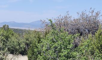 Ranch And Cattle lot 13, Ash Fork, AZ 86320