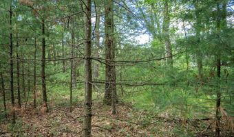 5 Ac 19th Ct, Arkdale, WI 54613
