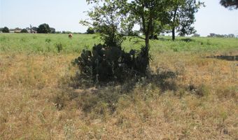 Rains County Road 2360, Alba, TX 75410
